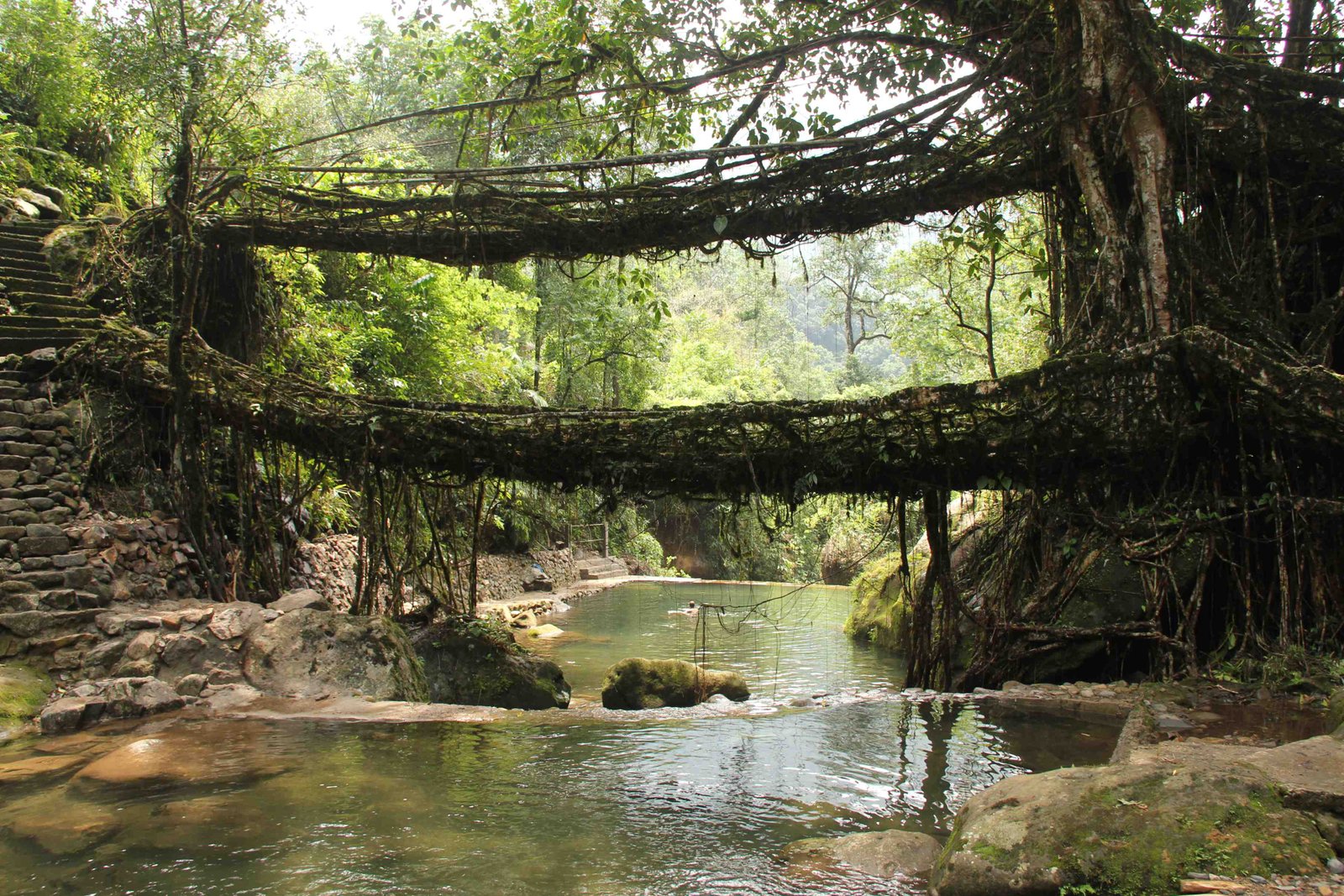 Meghalaya Root Bridge Tour – 5 Days